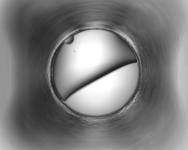 X0000098170949200804241006