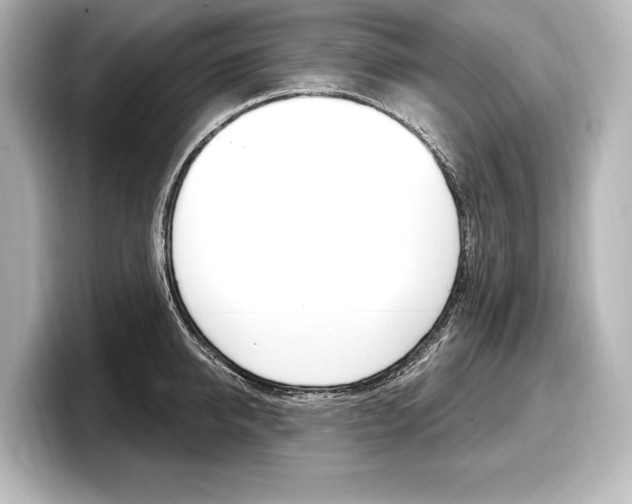 X0000098170950200804241006