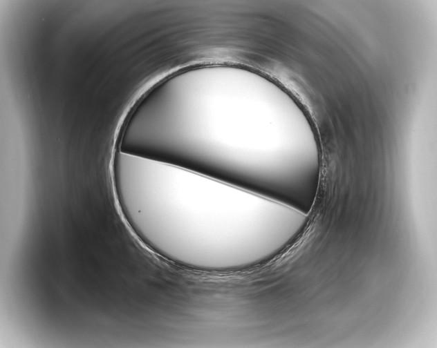 X0000098170951200804241007