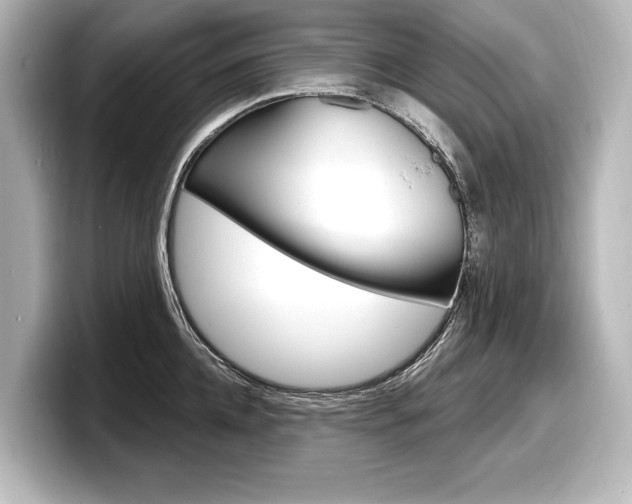 X0000098170952200804241007