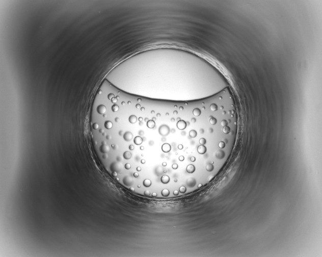 X0000098170953200804241007