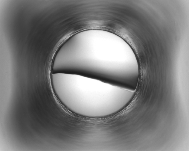 X0000098170954200804241007