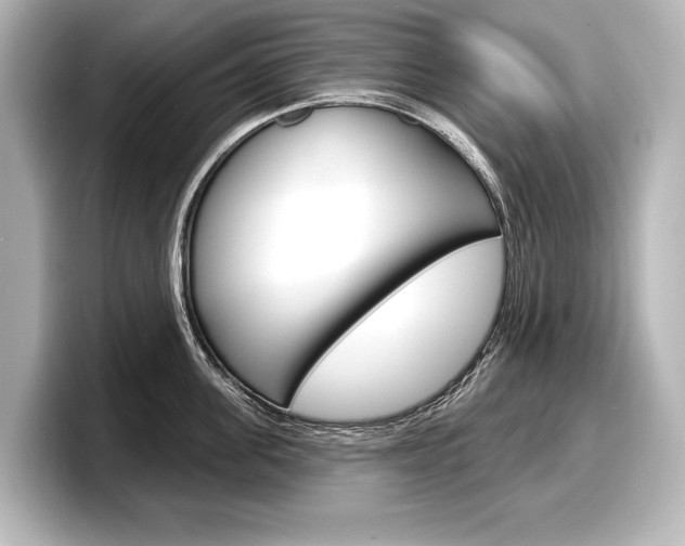 X0000098170955200804241007