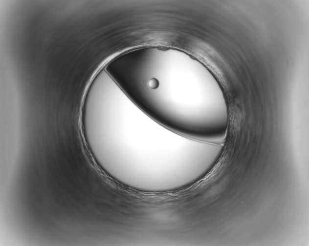 X0000098170956200804241007