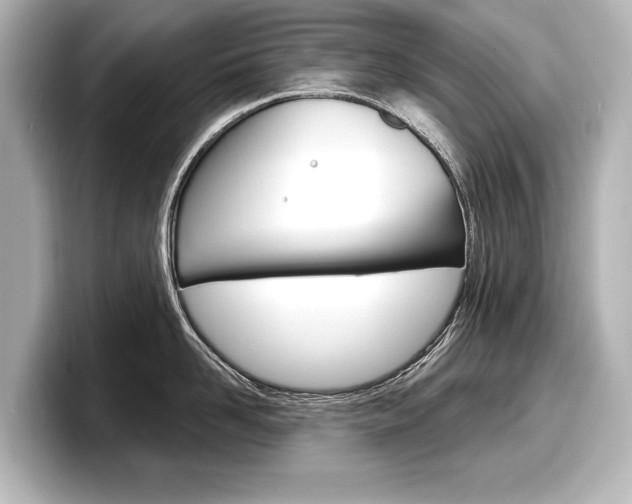X0000098170958200804241007