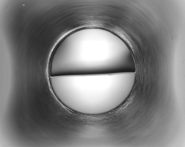 X0000098170959200804241007