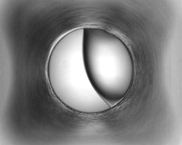 X0000098170960200804241007