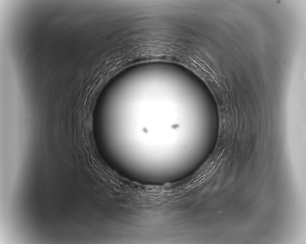 X0000098170961200804241006