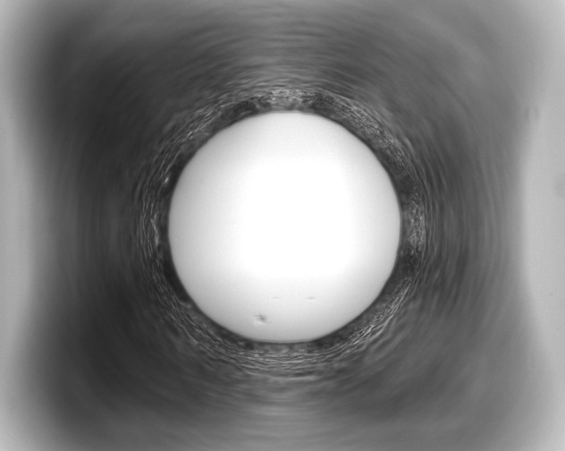 X0000098170962200804241006