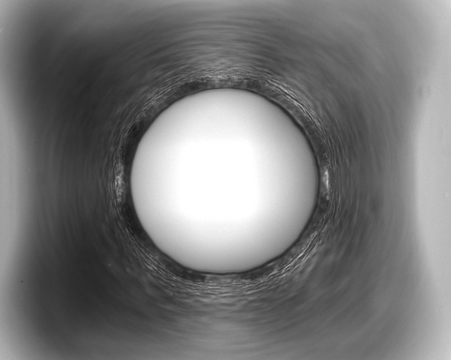 X0000098170963200804241006