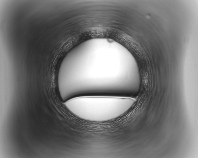 X0000098170964200804241006