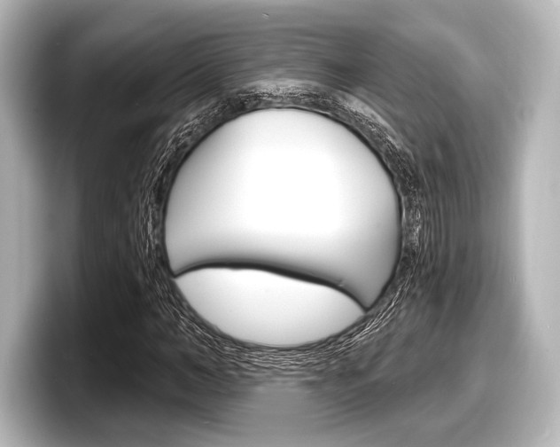 X0000098170966200804241006