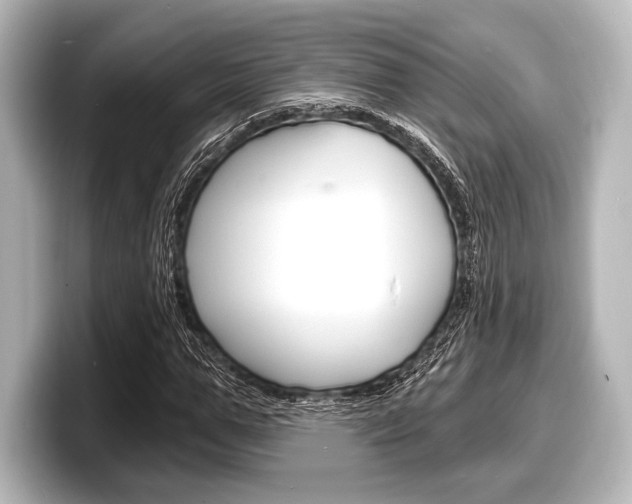 X0000098170967200804241006