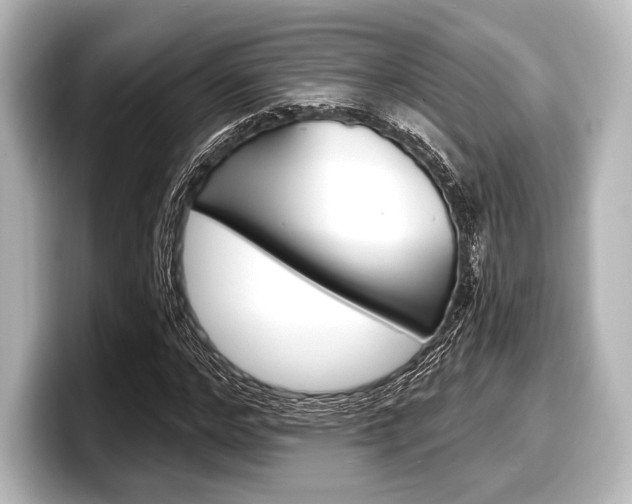 X0000098170968200804241006