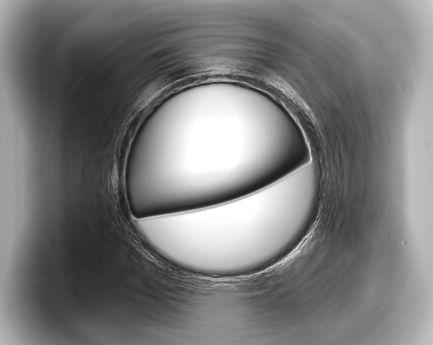 X0000098170969200804241006