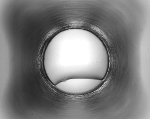 X0000098170970200804241006