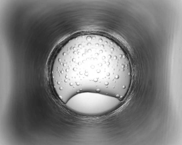 X0000098170974200804241006
