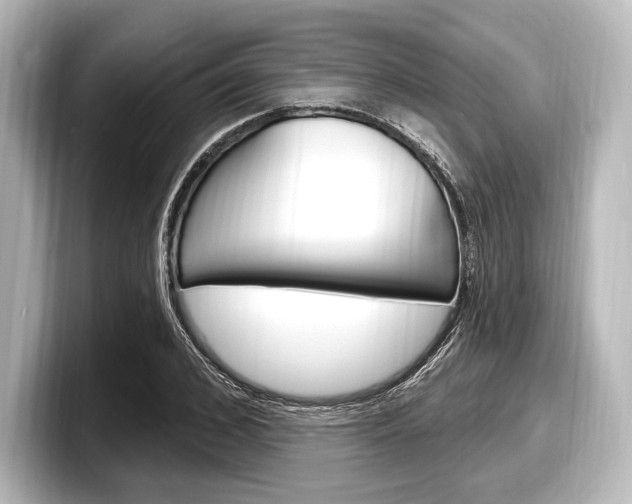 X0000098170976200804241006