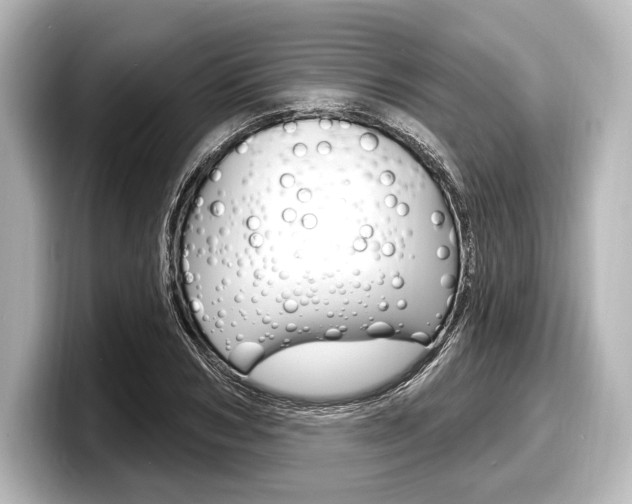 X0000098170978200804241006