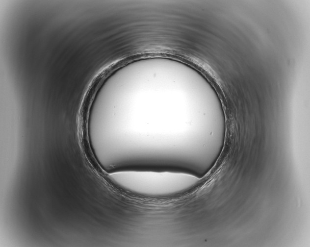 X0000098170979200804241006