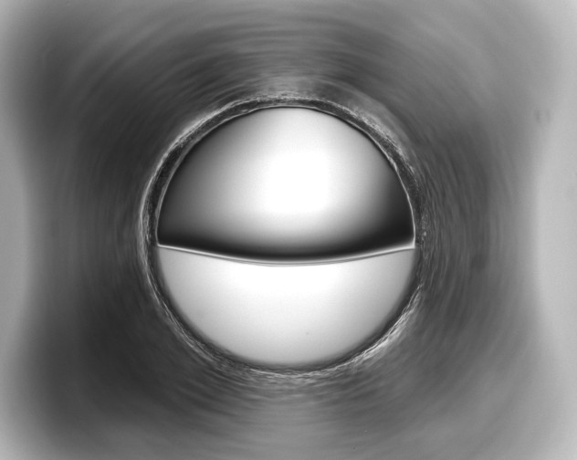X0000098170981200804241006