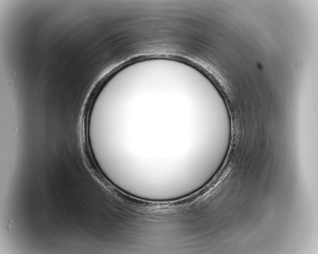 X0000098170982200804241006