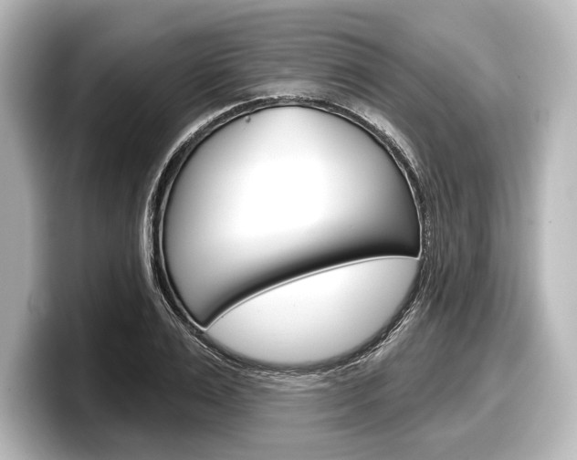 X0000098170983200804241006