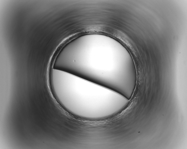 X0000098170984200804241006