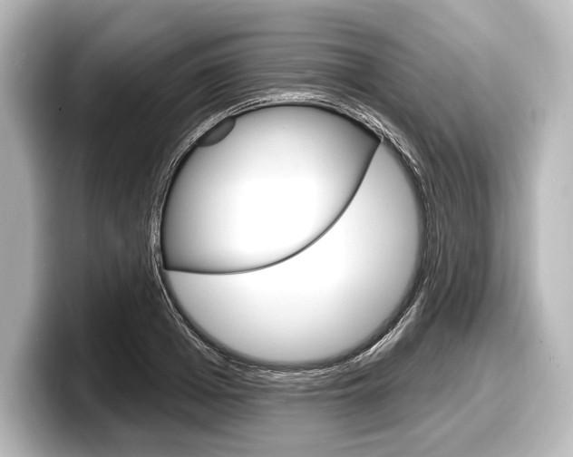 X0000098170985200804241006