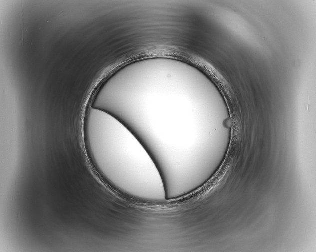 X0000098170986200804241006