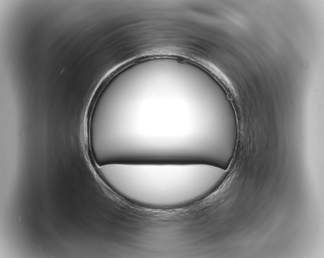 X0000098170988200804241006