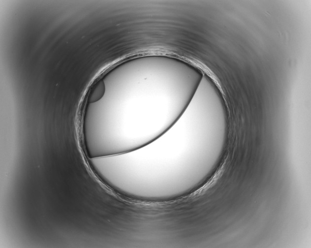 X0000098170989200804241006