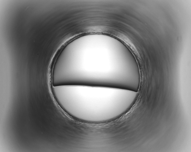 X0000098170992200804241006