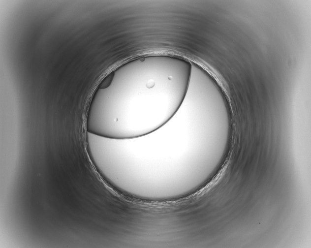 X0000098170993200804241006