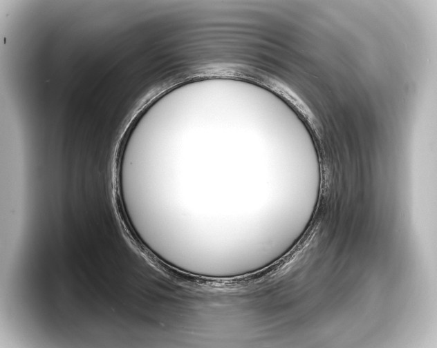 X0000098170994200804241005