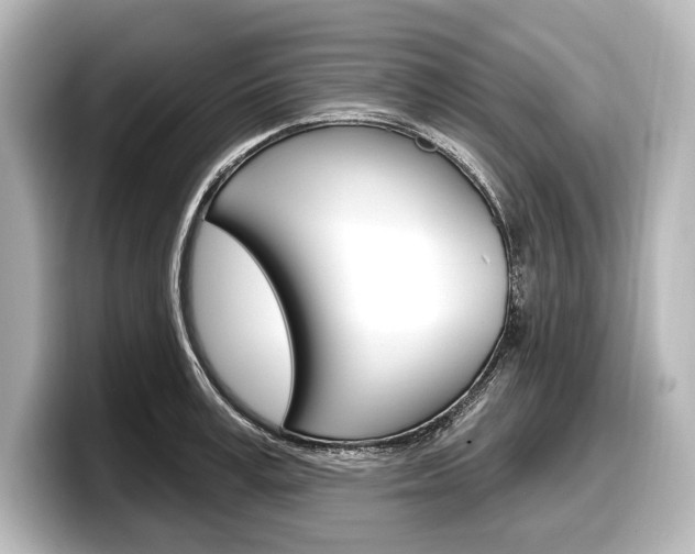 X0000098170995200804241005