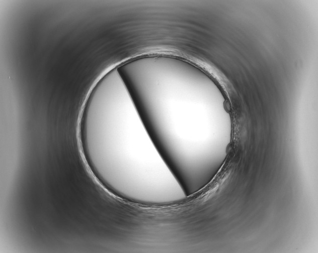 X0000098170999200804241005