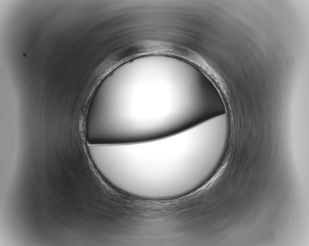X0000098171001200804241005