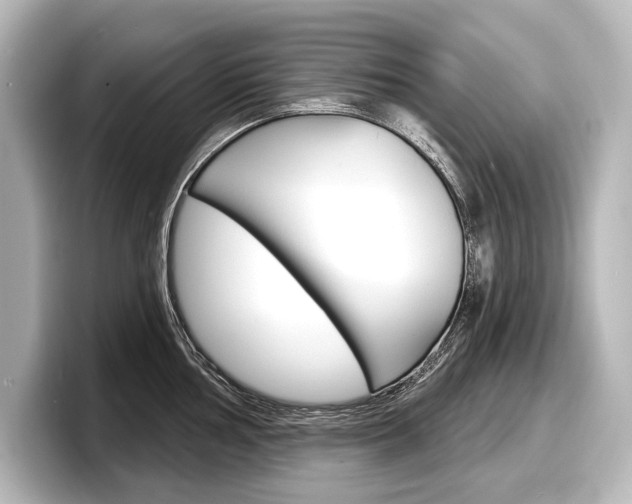X0000098171002200804241005