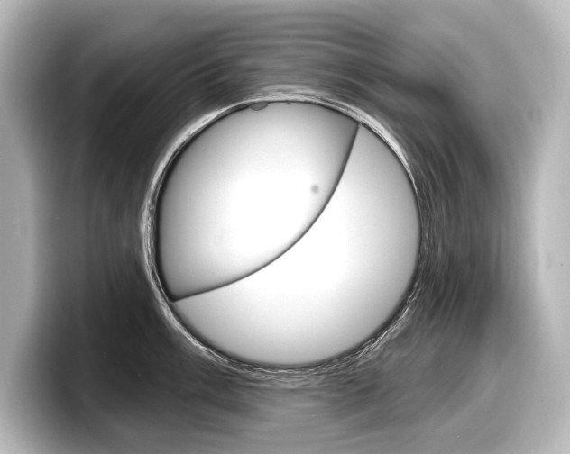 X0000098171003200804241005