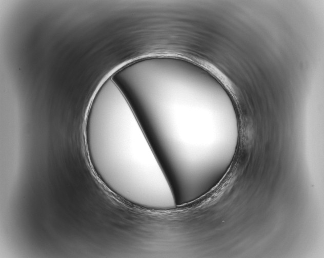 X0000098171004200804241005