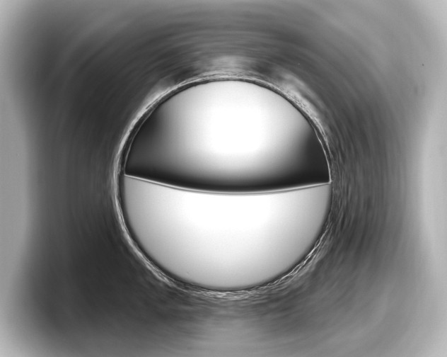 X0000098171005200804241005