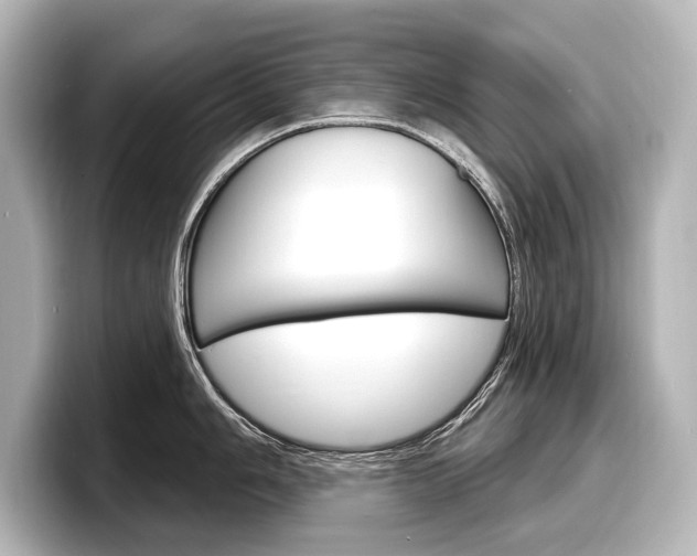 X0000098171006200804241005