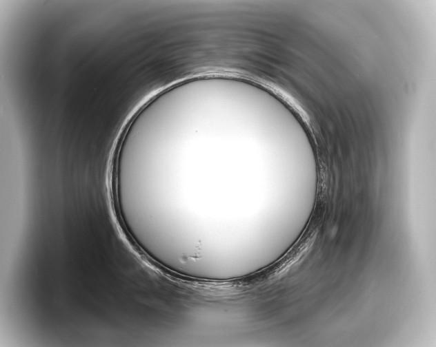 X0000098171007200804241005