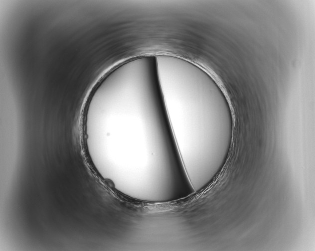 X0000098171008200804241005