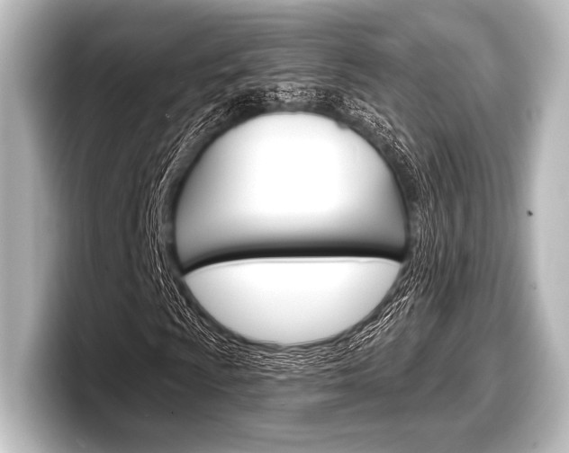 X0000098171009200804241005