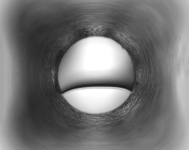 X0000098171010200804241005