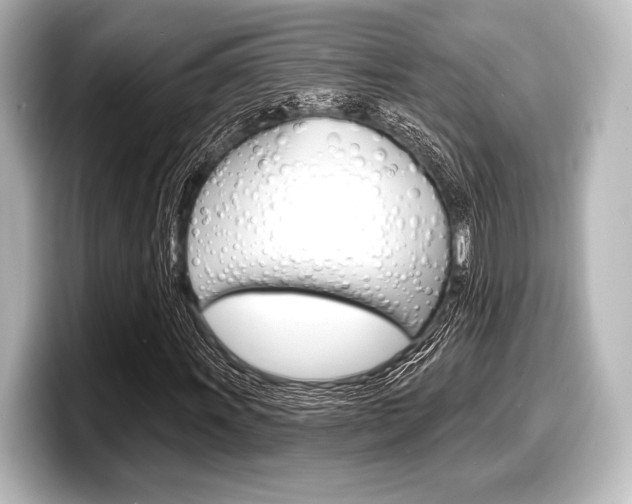 X0000098171011200804241005