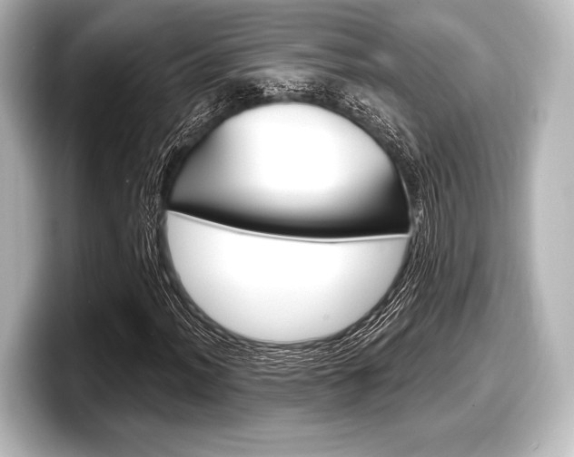 X0000098171012200804241005