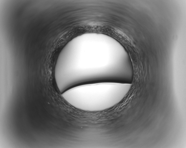 X0000098171013200804241005